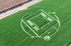 Crop Circle