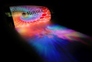 Royole flexible display.